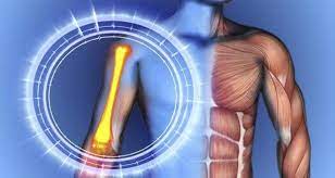 Skin, Bone & Diagnostic Health Centre In Pondicherry